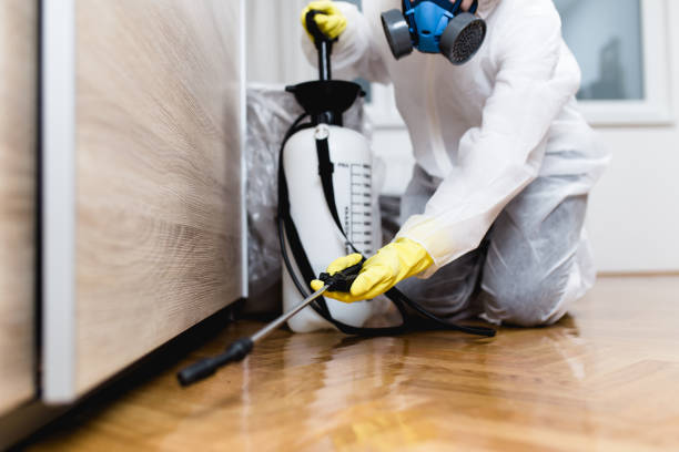 Best Wasp Removal Services  in Darmstadt, IN