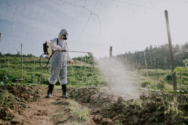 Best Commercial Pest Control Services  in Darmstadt, IN