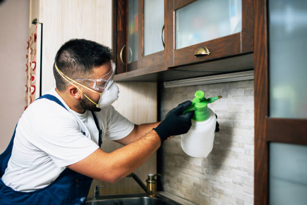 Best Commercial Pest Control Services  in Darmstadt, IN