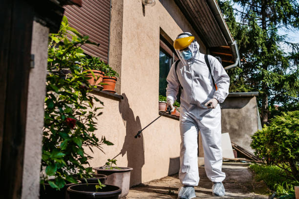 Best Best Pest Control Companies  in Darmstadt, IN