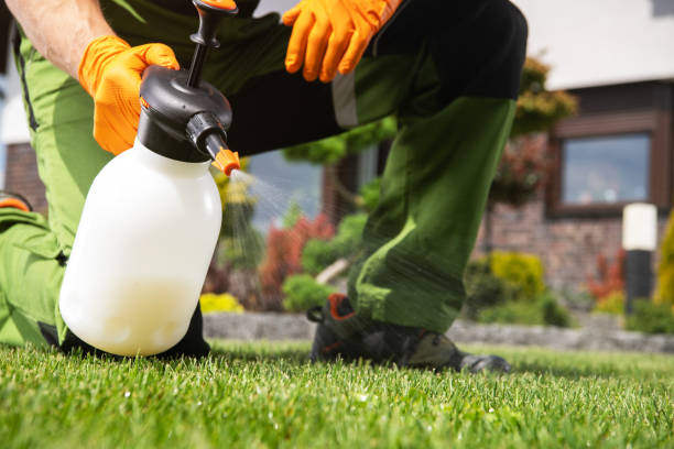 Best Residential Pest Control  in Darmstadt, IN