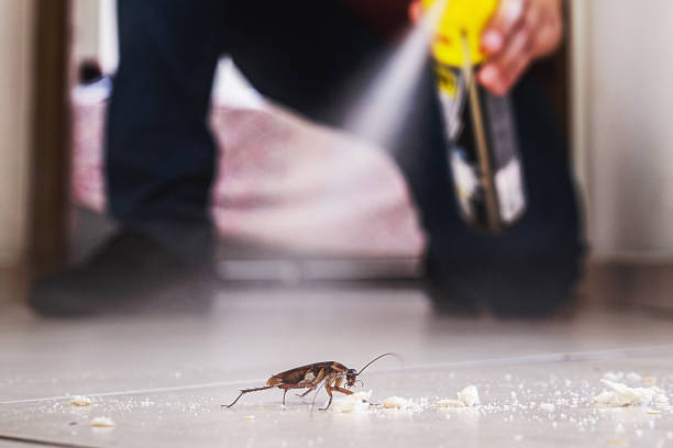 Best Pest Prevention Services  in Darmstadt, IN