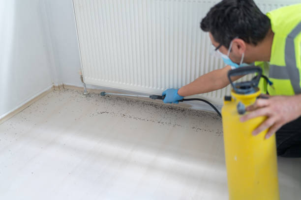 Best Affordable Pest Control Services  in Darmstadt, IN