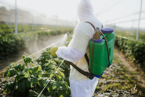 Pest Control for Restaurants in Darmstadt, IN